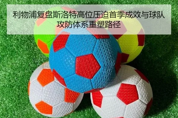 img_1782246304385_2514_1_751.jpg